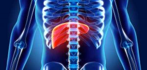 Hepatitis2