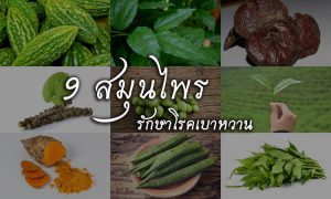 สมุนไพรรักษาโรคเบาหวาน