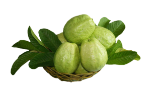 7 fruit 01 1