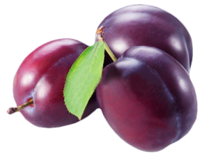 7 fruit 04
