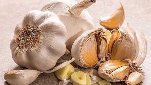 onion01