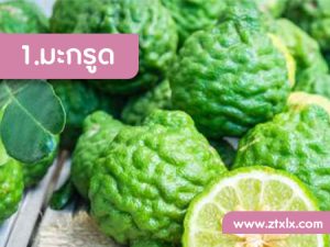 สูตรไม่ลับรักษาผมร่วงด้วยสมุนไพร 1