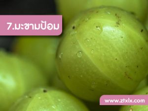 สูตรไม่ลับรักษาผมร่วงด้วยสมุนไพร 7